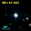 BD+42   603