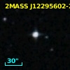 2MASS J12295602-2421103