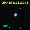 2MASS J12313273-2346513