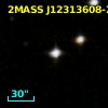 2MASS J12313608-2937111