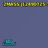 2MASS J12490725-1729159
