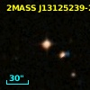 2MASS J13125239-2334284