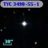TYC 3490-55-1