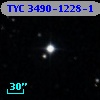 TYC 3490-1228-1