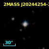 2MASS J20244254-2919190