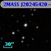 2MASS J20245420-4931412