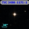 TYC 3490-1175-1
