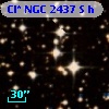 Cl* NGC 2437      S      h