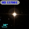 HD 137001