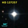 HD 137257