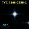 2MASS J05165193-3851419