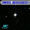 2MASS J03131632-4618429