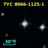 2MASS J03355715-5033398