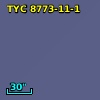 2MASS J19241731-5956066