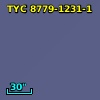 2MASS J19513186-5532307