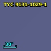 TYC 9131-1029-1