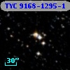 TYC 9168-1295-1