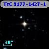 TYC 9177-1427-1
