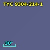 2MASS J19061298-7432096