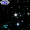 TYC 1336-1247-1