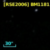 [RSE2006] BM1181