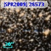 [SPR2009] 28573