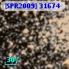 [SPR2009] 31674