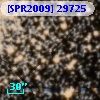 [SPR2009] 29725