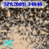 [SPR2009] 34848