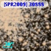 [SPR2009] 30888