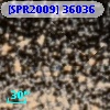 [SPR2009] 36036
