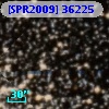 [SPR2009] 36225