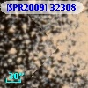 [SPR2009] 32308