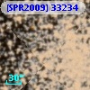 [SPR2009] 33234