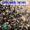 [SPR2009] 30205