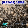 [SPR2009] 29506
