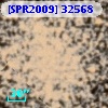 [SPR2009] 32568