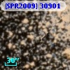 [SPR2009] 30901