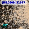 [SPR2009] 32057