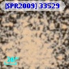 [SPR2009] 33529
