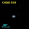 CASG  519