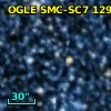 2MASS J00554995-7241217
