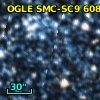 2MASS J01031918-7239316