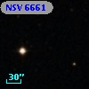 NSV  6661