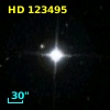 HD 123495