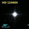 HD 124604