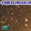 CXOU J124823.9-593611