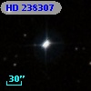 HD 238307