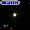 HD 238314
