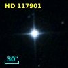 HD 117901